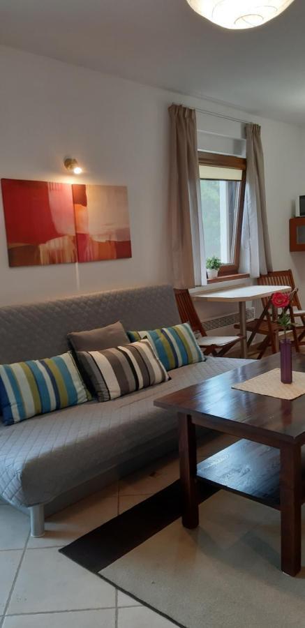 Apartamenty Kalinowa Rowy Kültér fotó